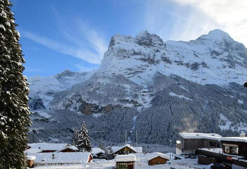 Отель Grindelwalderhof