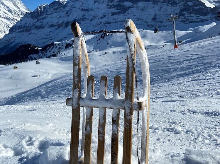 Отель Grindelwalderhof