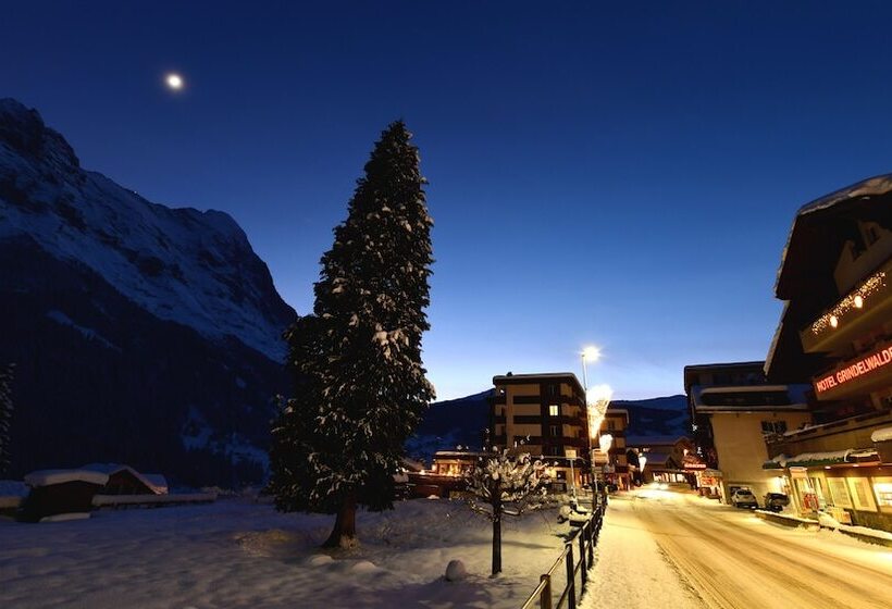 Отель Grindelwalderhof