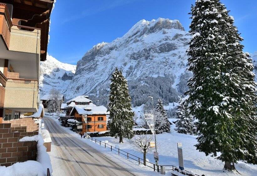 Отель Grindelwalderhof