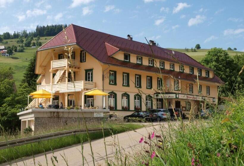Grüner Baum Naturparkhotel & Schwarzwald Restaurant
