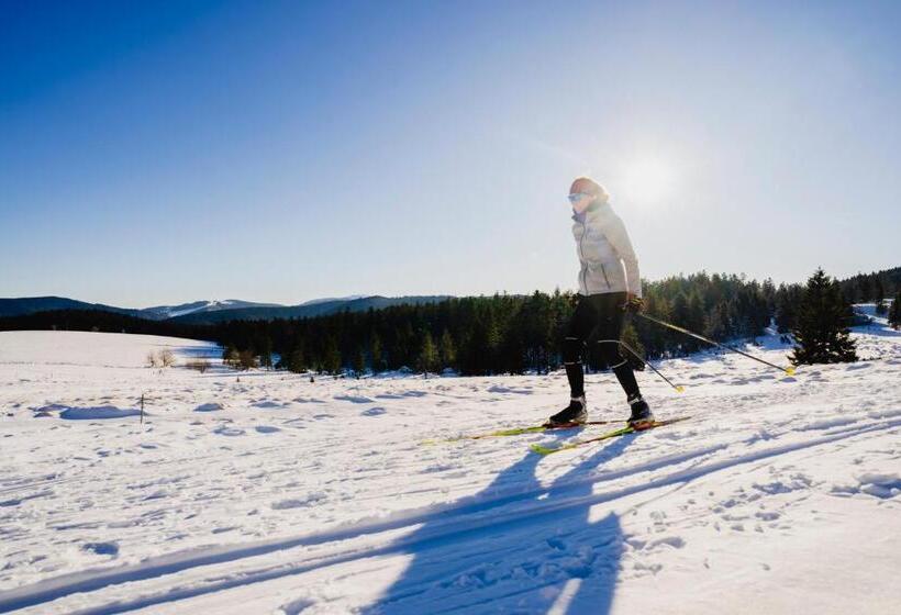 Grüner Baum Naturparkhotel & Schwarzwald Restaurant