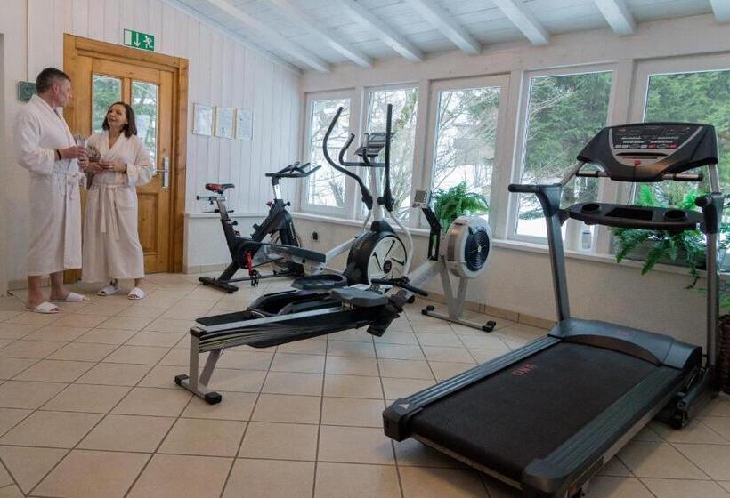 Grüner Baum Naturparkhotel & Schwarzwald Restaurant