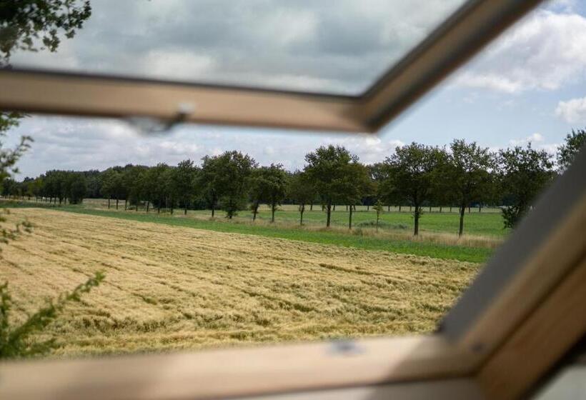 בית מלון כפרי Het Witteveen