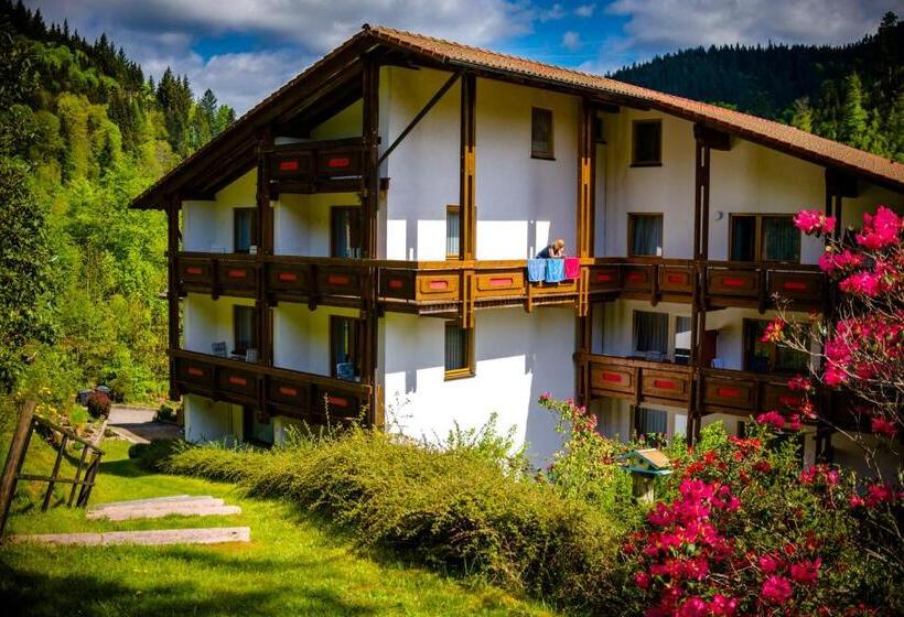 酒店 Holzschuhs Schwarzwald