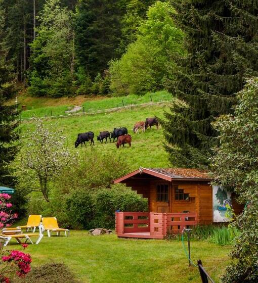 酒店 Holzschuhs Schwarzwald