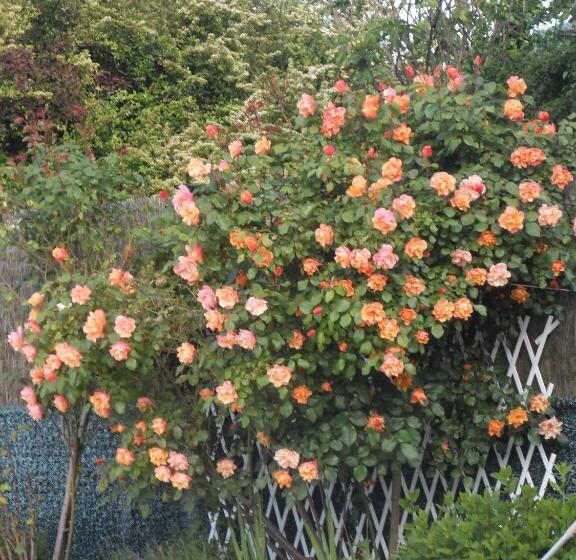 בית מלון כפרי Hôtel Du Puy D Alon