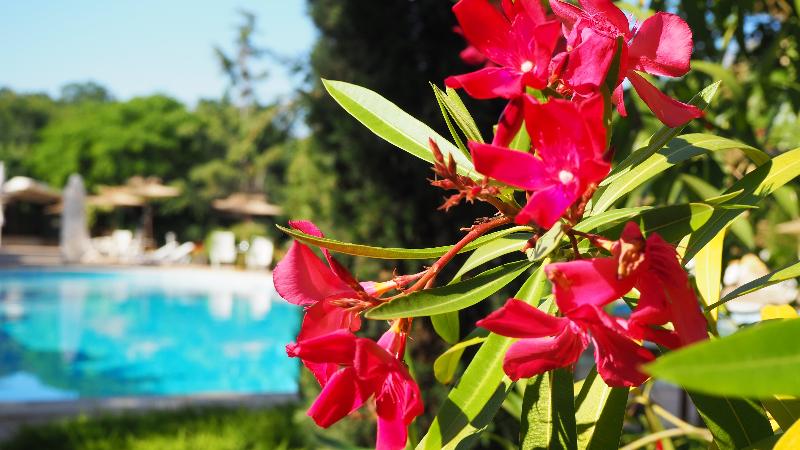 Отель Joya Park