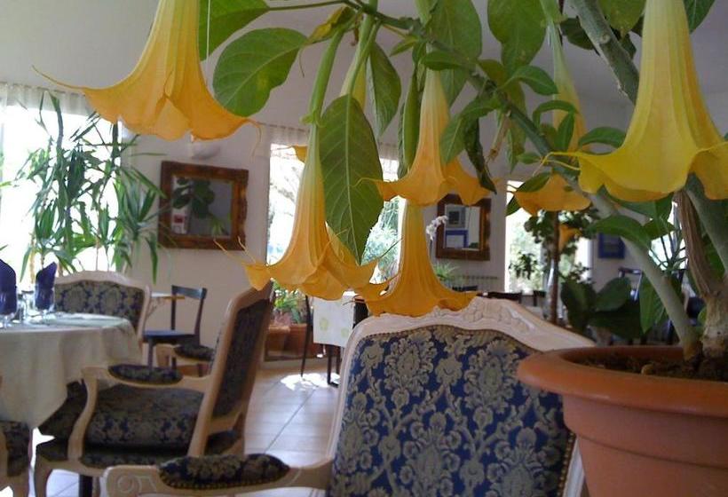 Отель La Fontaine