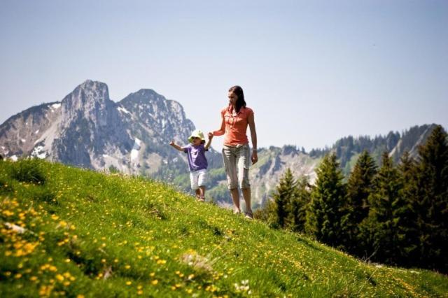 Отель Garni Landhaus Traunbachhäusl