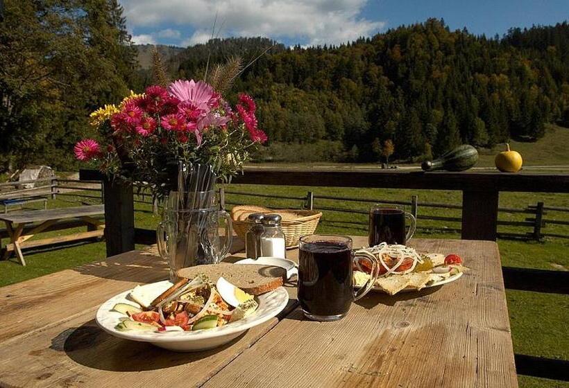 Отель Garni Landhaus Traunbachhäusl