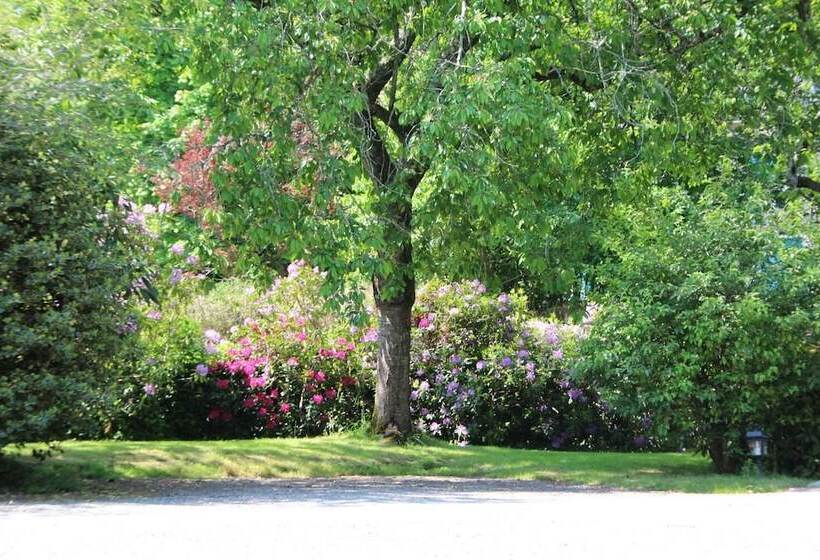 בית מלון כפרי Le Manoir Du Rodoir