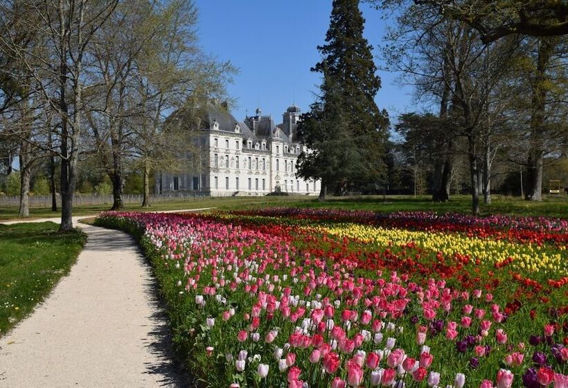 בית מלון כפרי Logis Hôtel Du Cygne