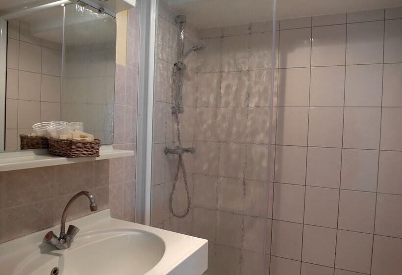 בית מלון כפרי Logis Hôtel Du Cygne