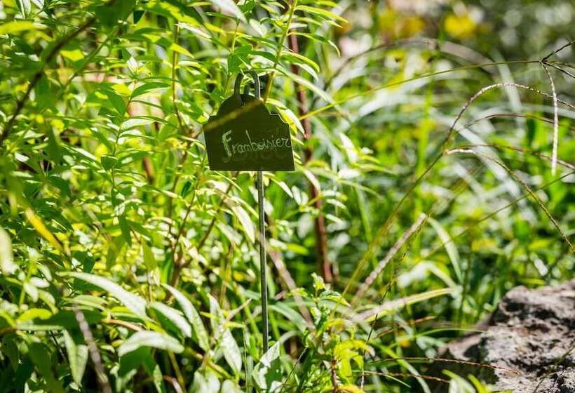 בית מלון כפרי Moulin De Conques Restaurant Herve Busset