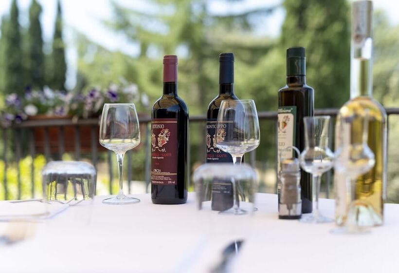 Отель Palazzuolo