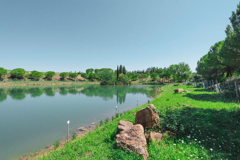 Отель Palazzuolo