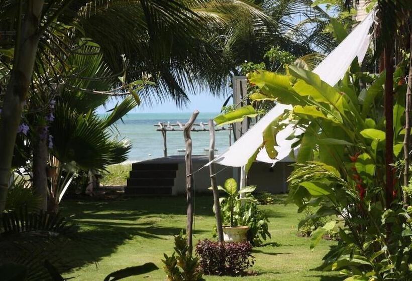 فندق Praiagogi Boutique Pousada