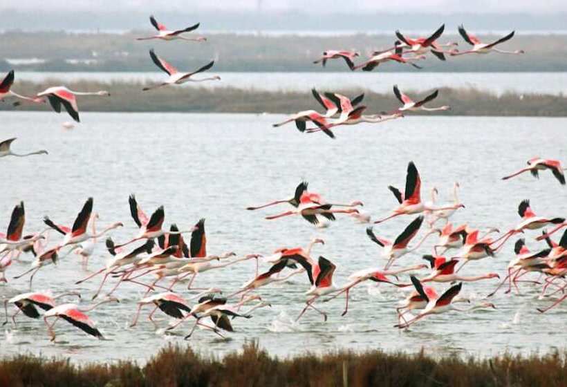 فندق Raffael Phg