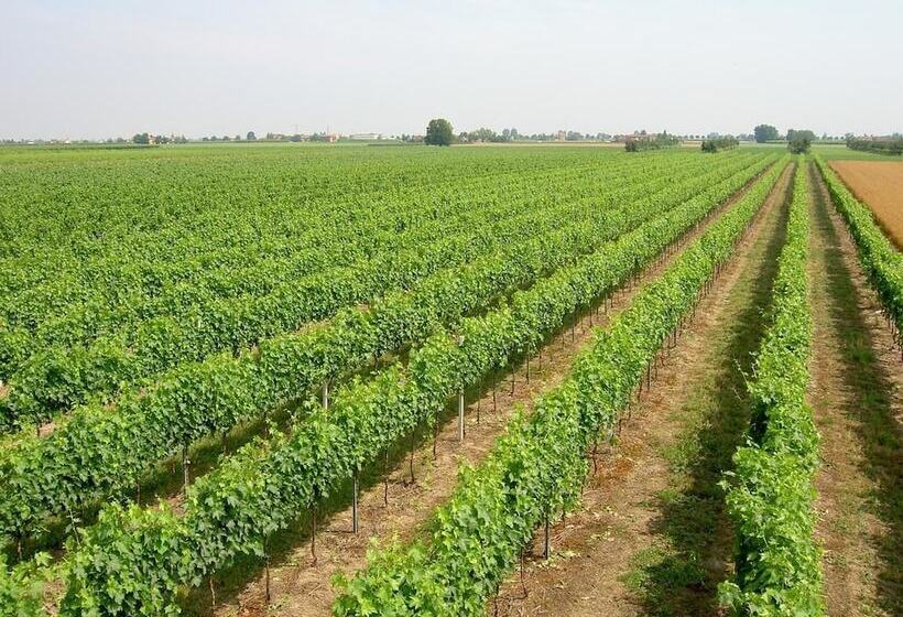 호텔 Ravaglia Grande