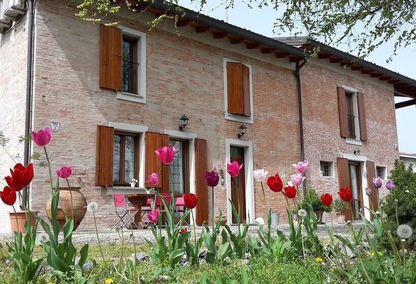 Отель Ravaglia Grande