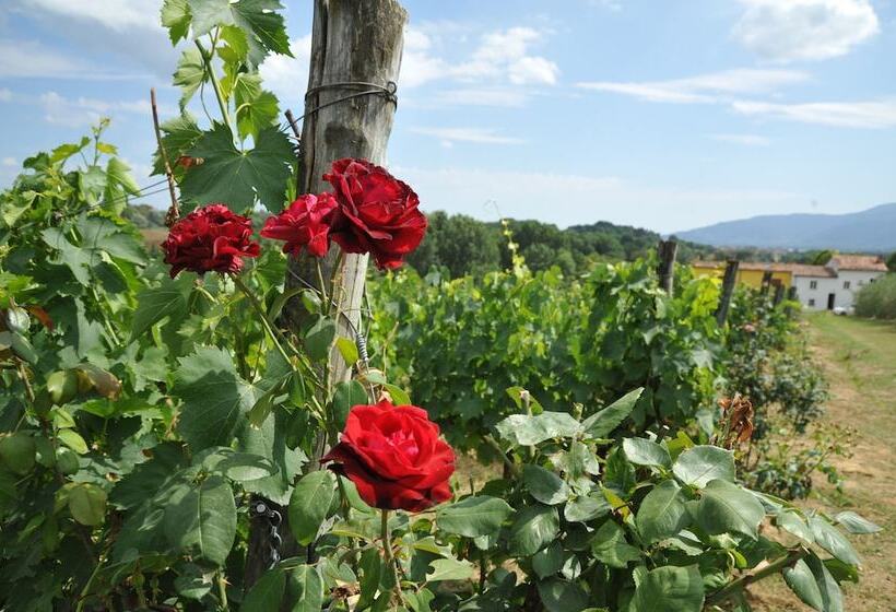 酒店 Agriturismo Corte Benedetto