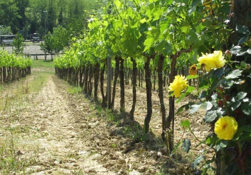 酒店 Agriturismo Corte Benedetto