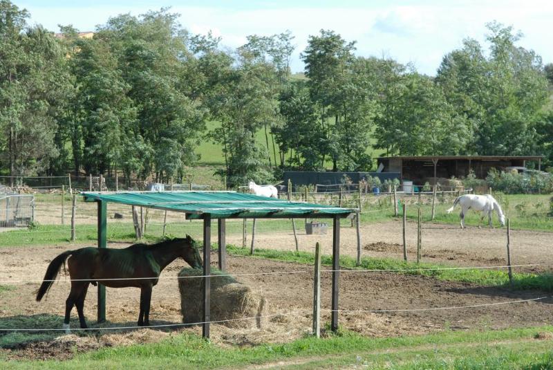 酒店 Agriturismo Corte Benedetto