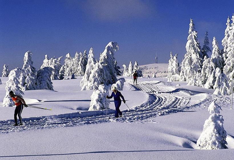 Hotel Ring Garni Pflug