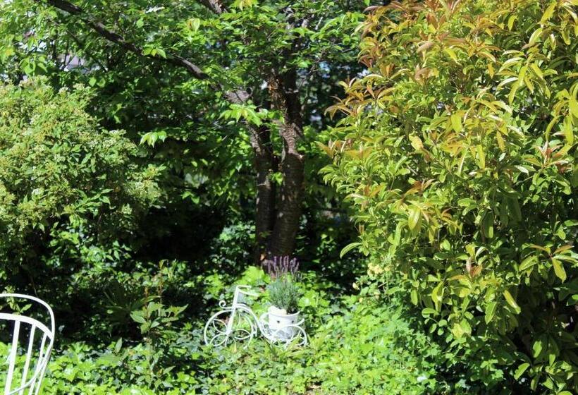 בית מלון כפרי Rotwand