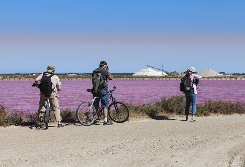 فندق Saint Louis