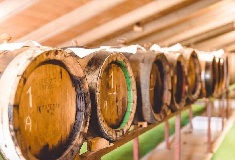 فندق San Pellegrino