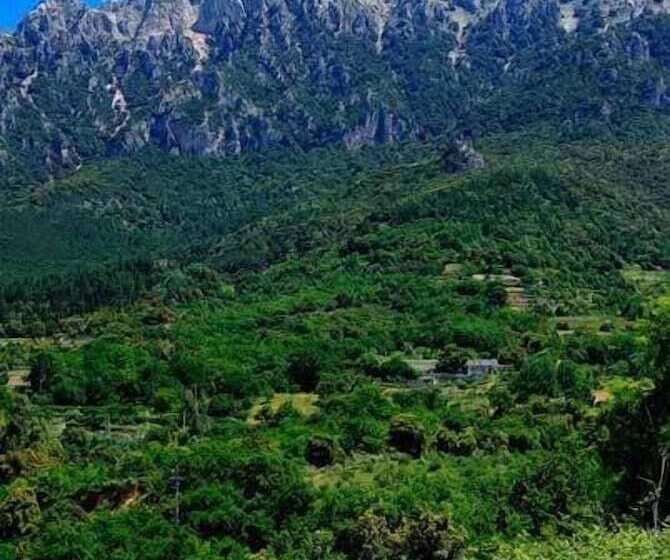 فندق S'enis Monte Maccione