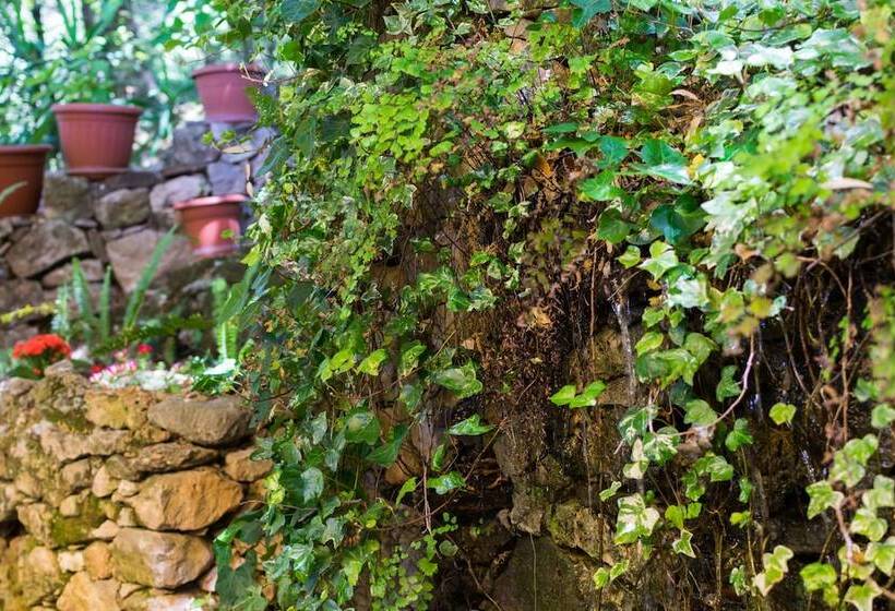 فندق S'enis Monte Maccione