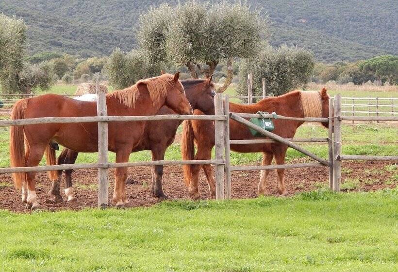 בית מלון כפרי Tenuta Agricola Dell Uccellina