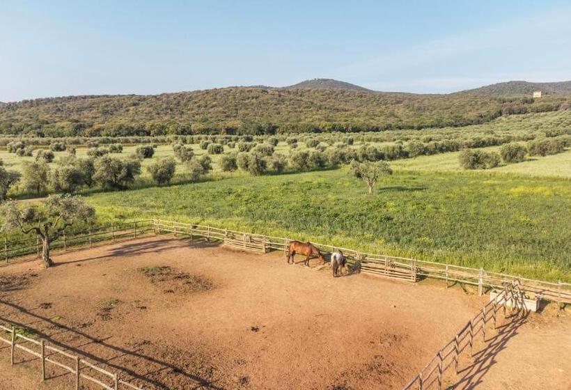 בית מלון כפרי Tenuta Agricola Dell Uccellina