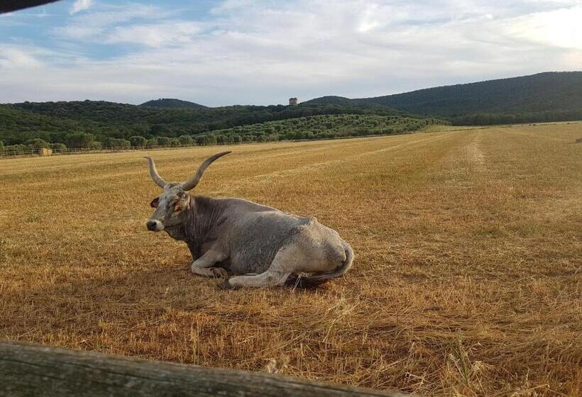בית מלון כפרי Tenuta Agricola Dell Uccellina