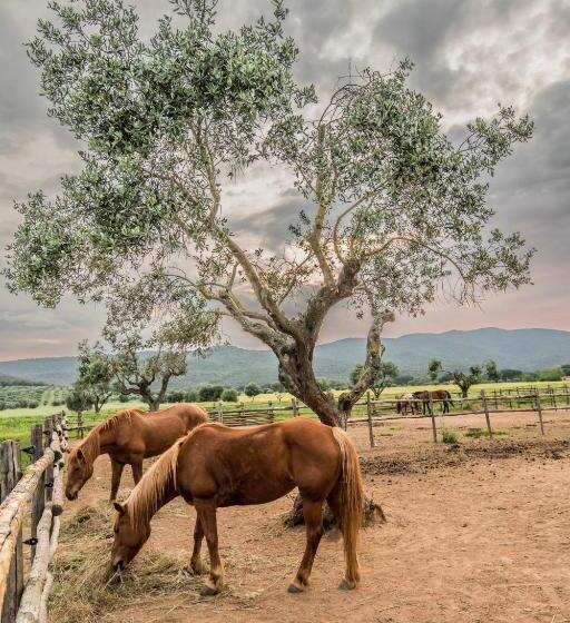 בית מלון כפרי Tenuta Agricola Dell Uccellina