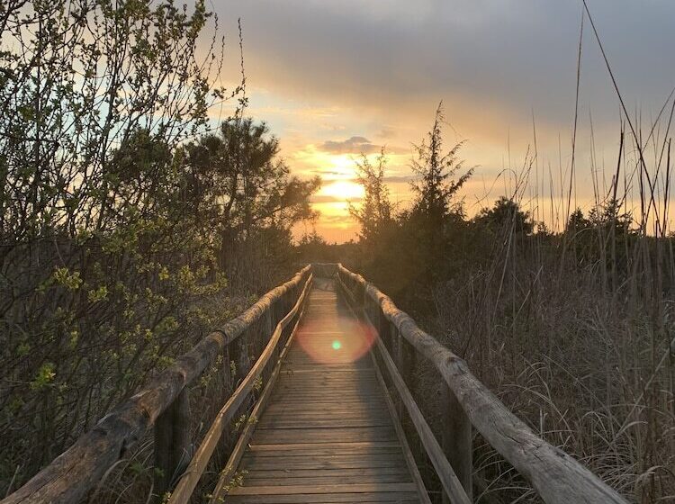 酒店 Torre Matilde