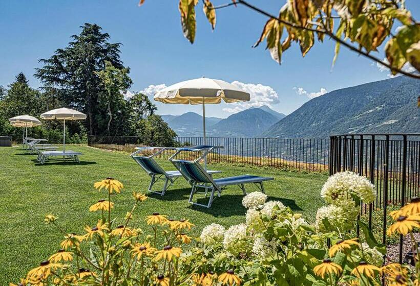 Отель Traubenheim