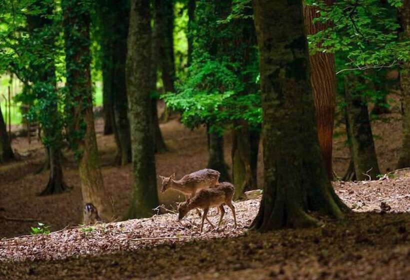 هتل Vela Velo Club Vieste