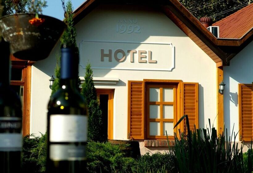 酒店 Vineyard Inn Szőlőskert