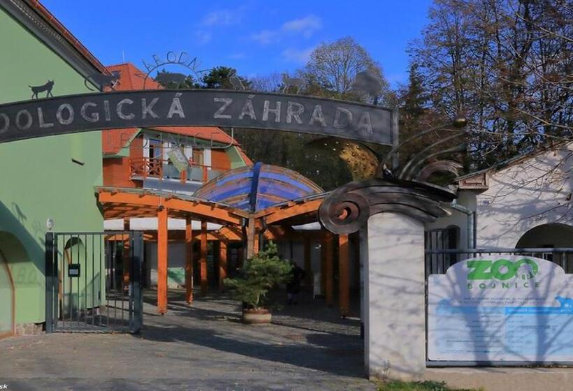 Отель Wellness Penzion Maxim