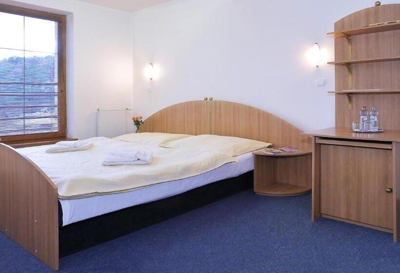 Отель Wellness Penzion Maxim