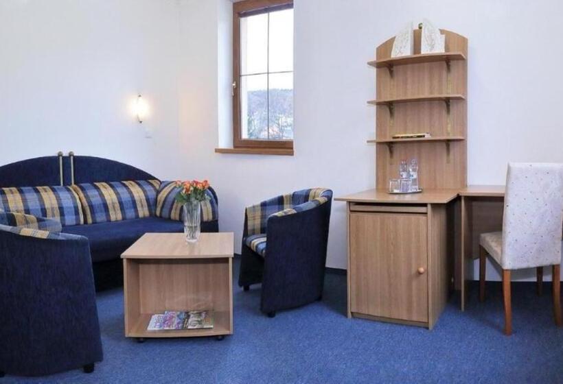 Отель Wellness Penzion Maxim