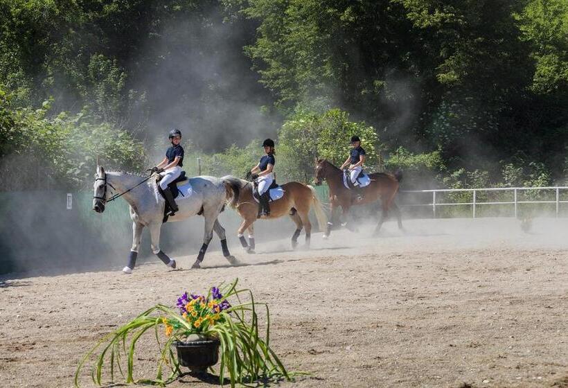 Отель Wellness Penzion Maxim