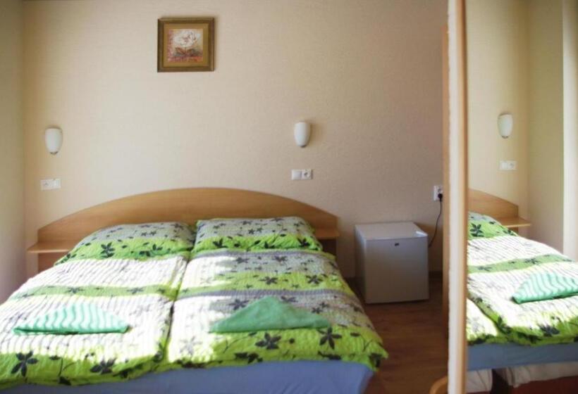 Отель Wellness Penzion Maxim