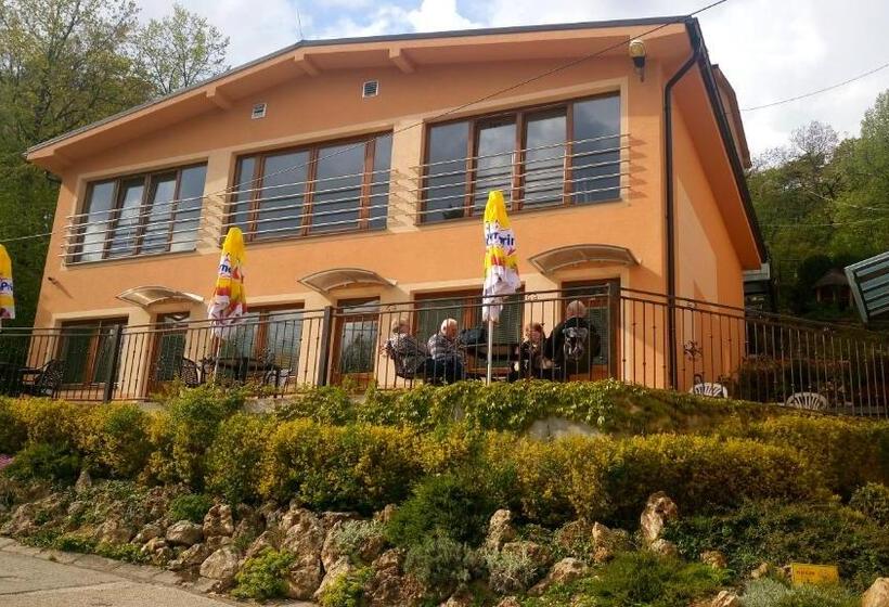 Отель Wellness Penzion Maxim