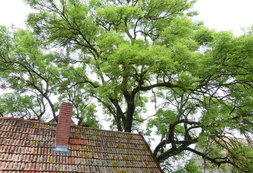 Landhotel Schwarzes Ross