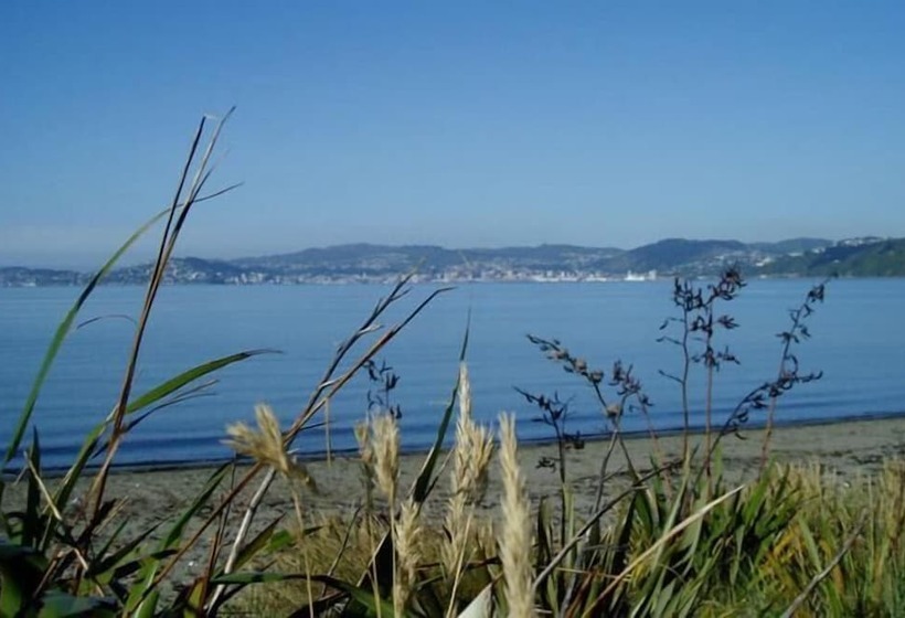 מוטל Asure 83 By The Sea Motor Lodge